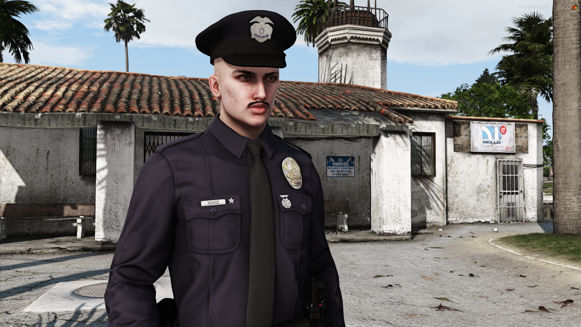Academy program